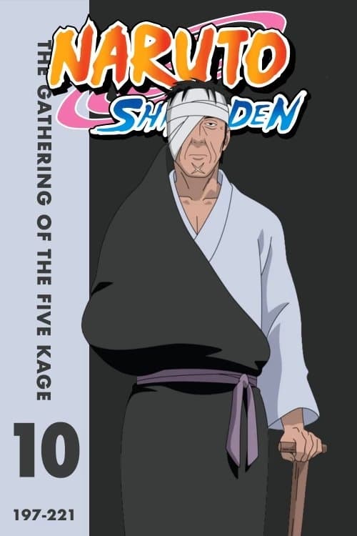 Naruto Shippuden: Season 10: The Gathering of the Five Kage (2011) Hindi Dubbed Sony Yay! India Dub Complete  Anime4U {On Break}