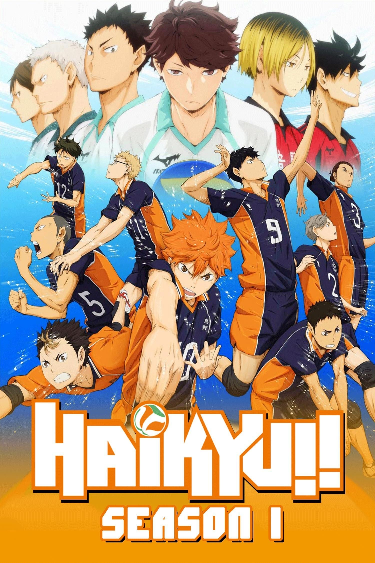 Download Haikyu!! Season 1 (2014) Hindi Dubbed (ORG) + Multi Audio Complete