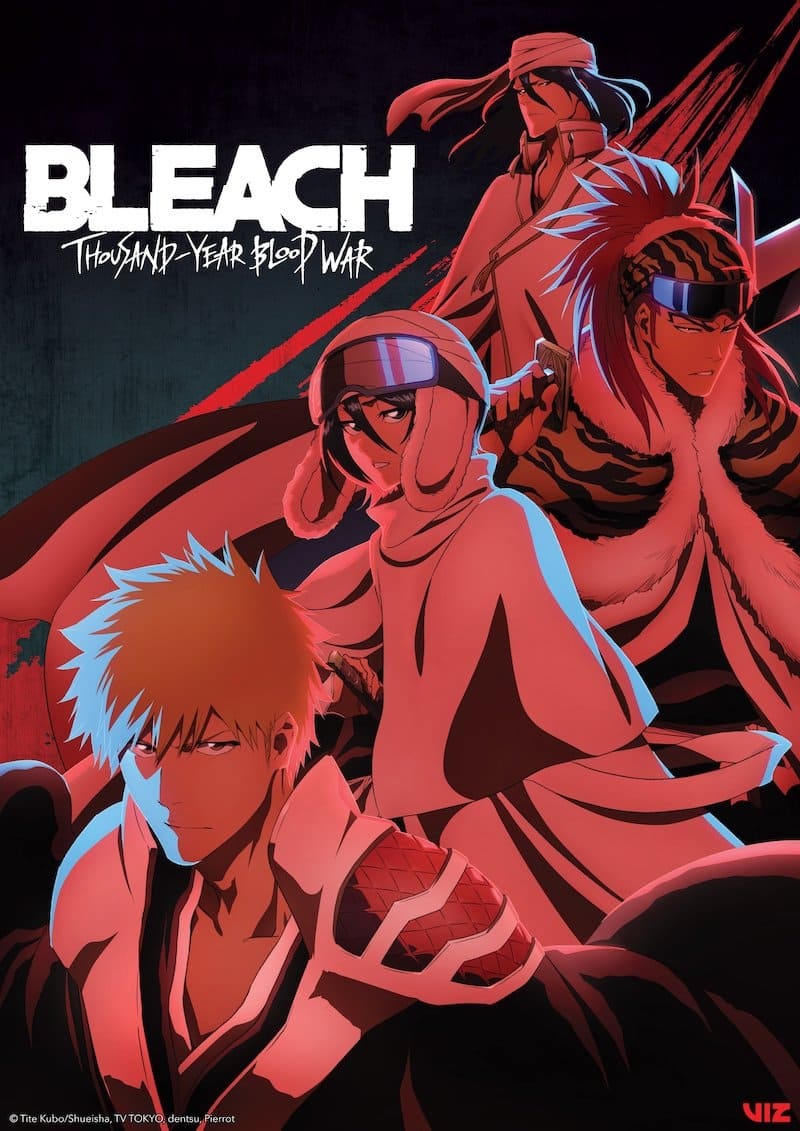 Download Bleach: Thousand-Year Blood War Season 3 Hindi Dubbed (ORG) + Multi Audio Complete
